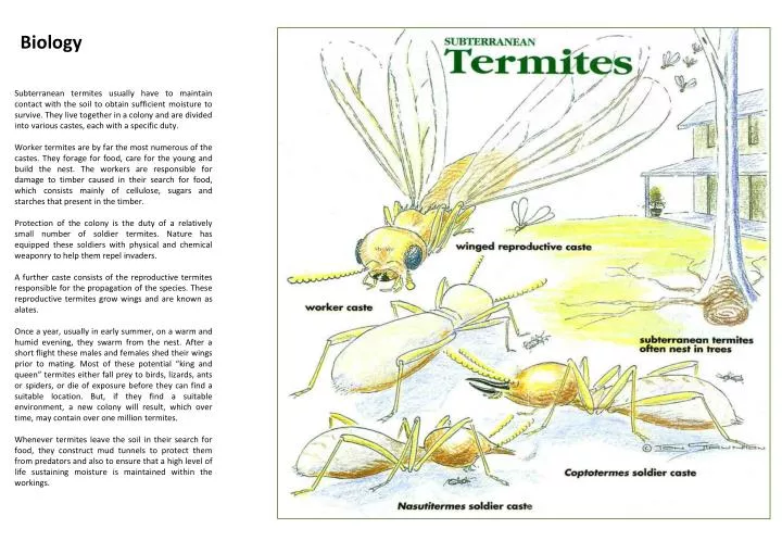 biology