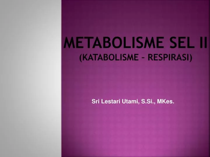 metabolisme sel ii katabolisme respirasi