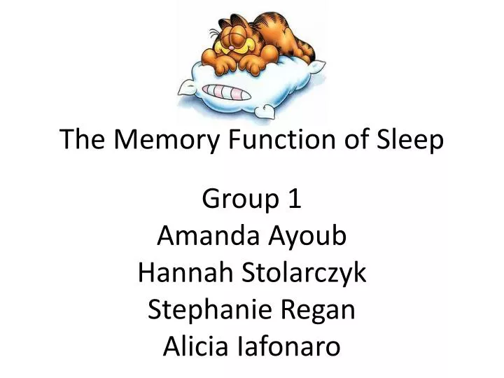 the memory function of sleep
