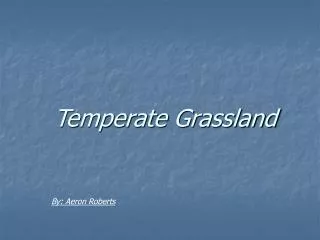 Temperate Grassland