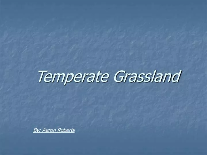 temperate grassland