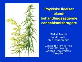 PPT - Behandling Av Psykiske Lidelser PowerPoint Presentation, Free ...