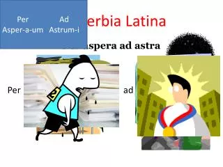 proverbia latina