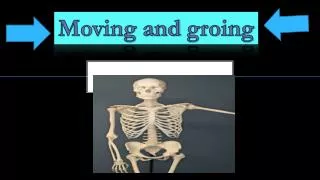 Moving and groing