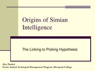 Origins of Simian Intelligence