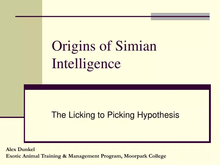 origins of simian intelligence