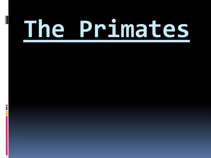 the primates