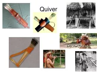 Quiver