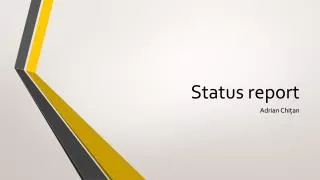 Status report