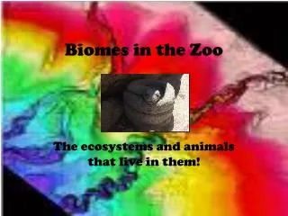 Biomes in the Zoo