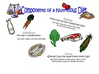 Components of a Nutritious Diet