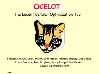 The Lucent Cellular Optimization Tool