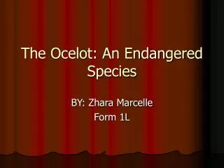 The Ocelot: An Endangered Species