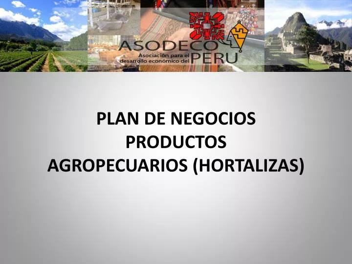 plan de negocios productos agropecuarios hortalizas