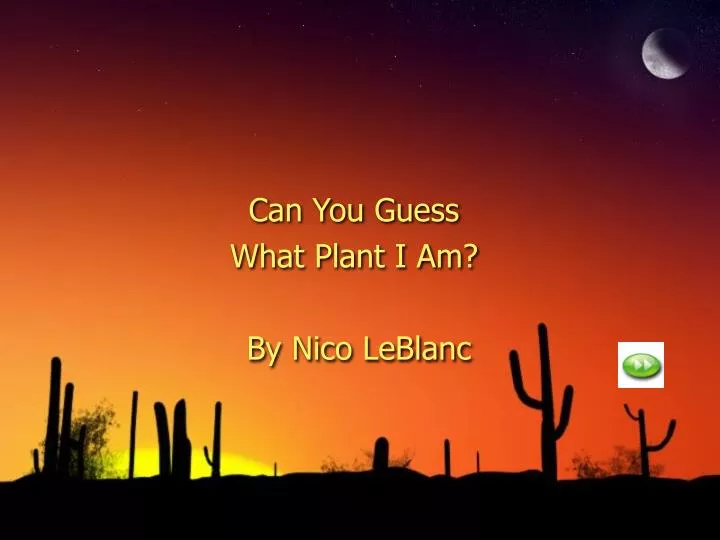 can you guess what plant i am by nico leblanc