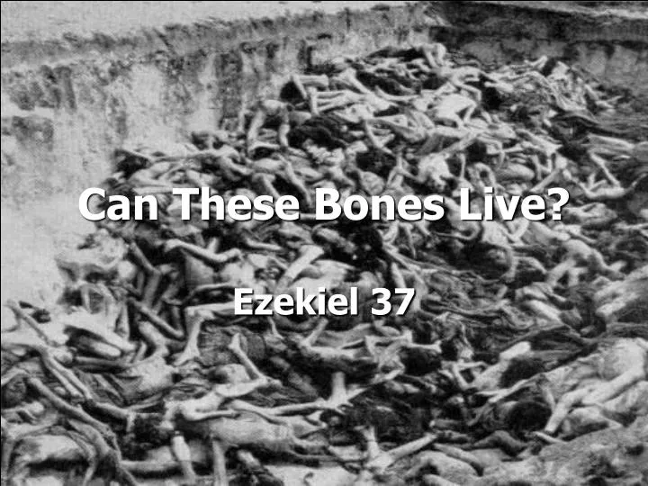 can these bones live