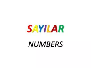 s a y i l a r