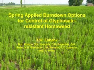 Spring Applied Burndown Options for Control of Glyphosate-resistant Horseweed