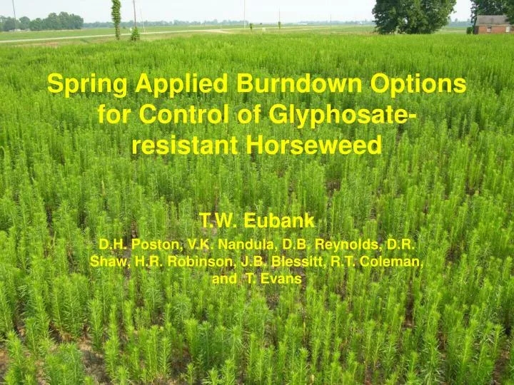 spring applied burndown options for control of glyphosate resistant horseweed