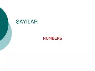 sayilar
