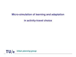 Micro-simulation of learning and adaptation in activity-travel choice