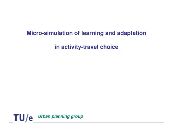 micro simulation of learning and adaptation in activity travel choice