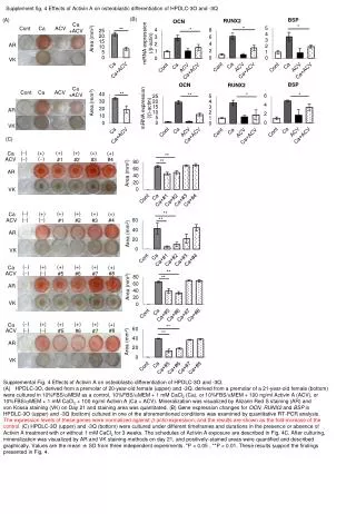 Supplement f ig . 4 Effects of Activin A on osteoblastic differentiation of HPDLC-3O and -3Q