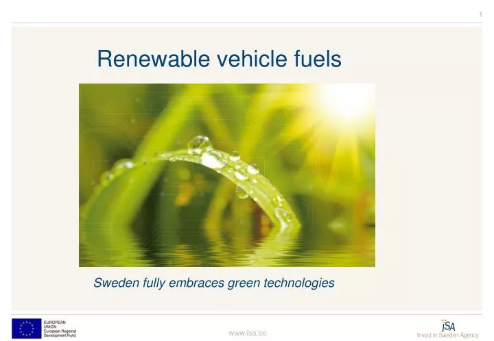 renewable vehicle fuels