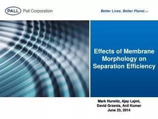 Effects of Membrane Morphology on Separation Efficiency