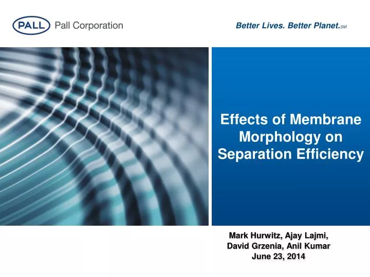 effects of membrane morphology on separation efficiency