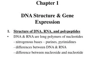 Chapter 1 DNA Structure &amp; Gene Expression