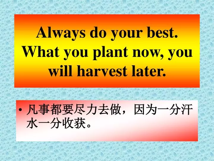 always do your best what you plant now you will harvest later