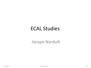 ECAL Studies