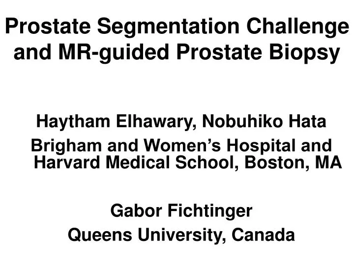 prostate segmentation challenge and mr guided prostate biopsy
