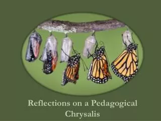 Reflections on a Pedagogical Chrysalis