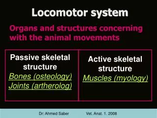 Locomotor system