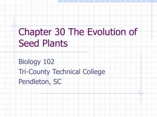 Chapter 30 The Evolution of Seed Plants