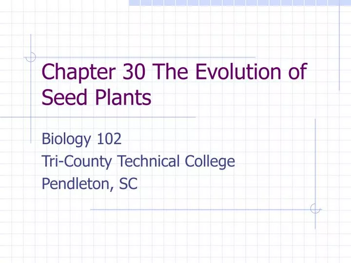 chapter 30 the evolution of seed plants