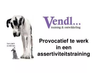 provocatief te werk in een assertiviteitstraining