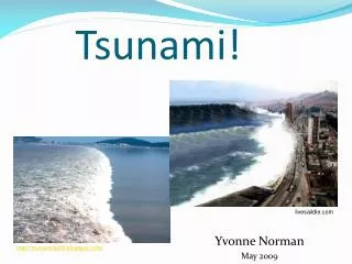 Tsunami!