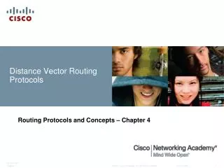 distance vector routing protocols