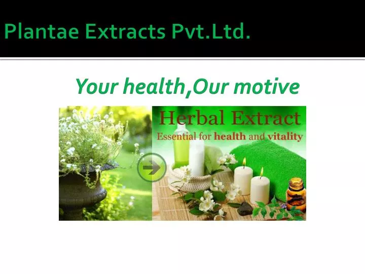 plantae extracts pvt ltd your health our motive