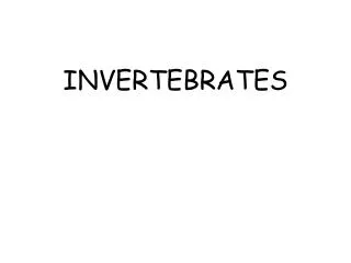 INVERTEBRATES