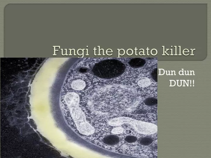 fungi the potato killer