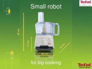 Small robot