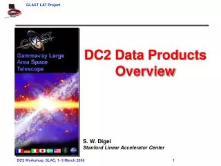 DC2 Data Products Overview S. W. Digel Stanford Linear Accelerator Center