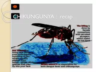 CHIKUNGUNYA : recap