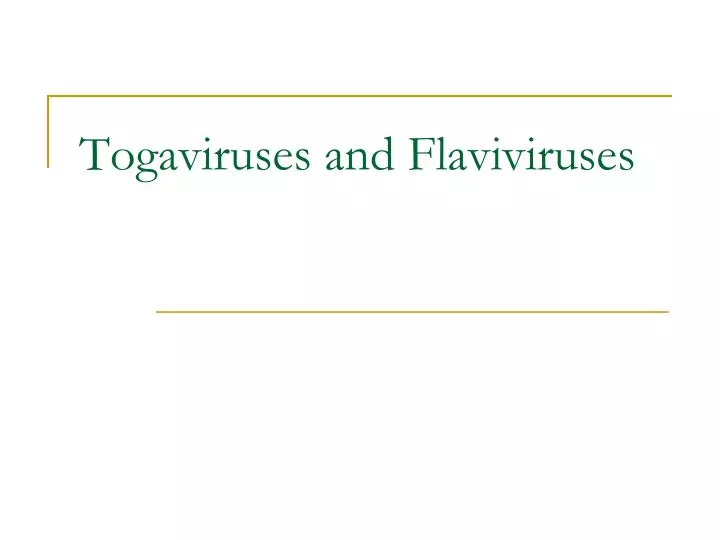 togaviruses and flaviviruses