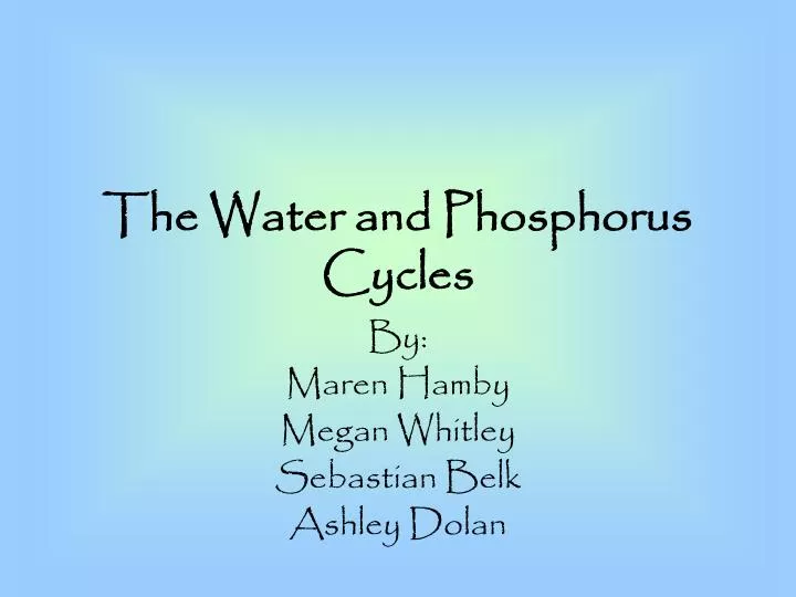 the water and phosphorus cycles