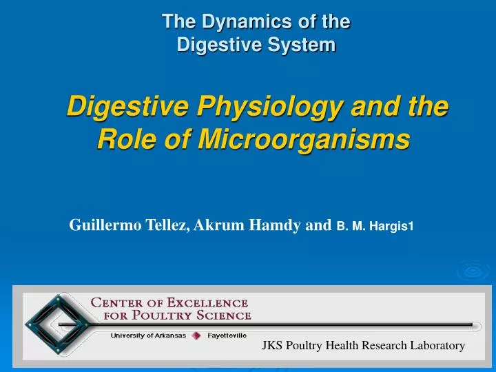 the dynamics of the digestive system digestive physiology and the role of microorganisms